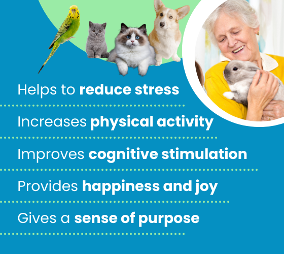 The Healing Powers of Pet Therapy